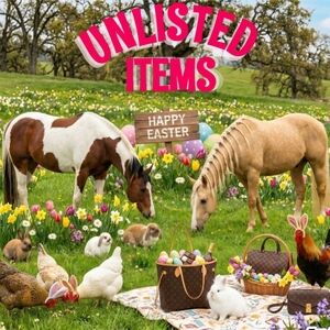 Bailey's Closet Unlisted Items